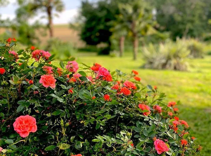 D'hotes De Charme Avec Piscine - Le Clos Boissiere 3* Valence-sur-Baïse
